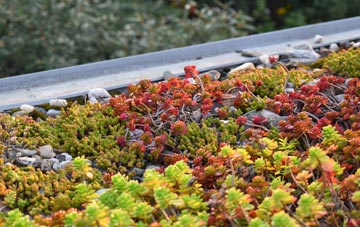 the cost of Crateford green roof installation